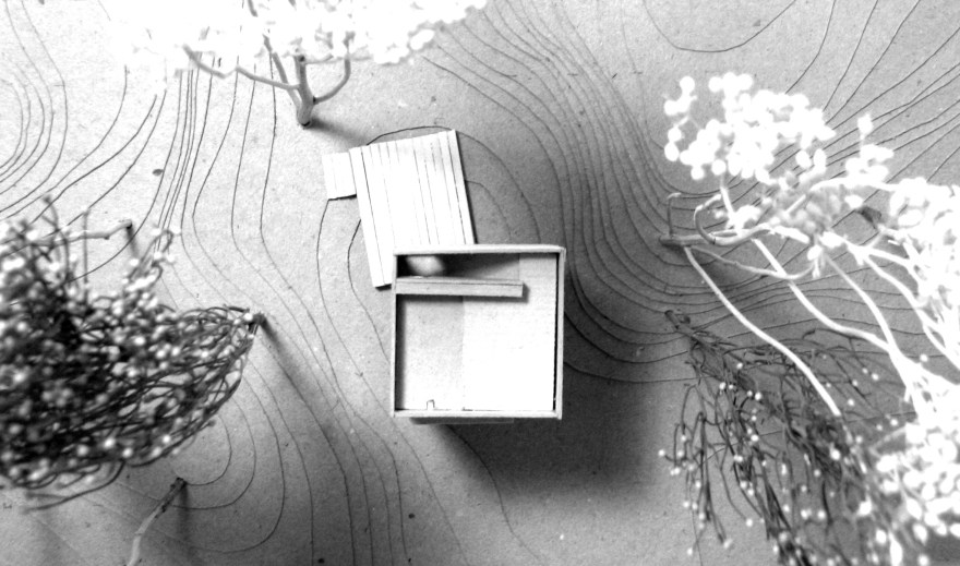 planta-de-techos-byn